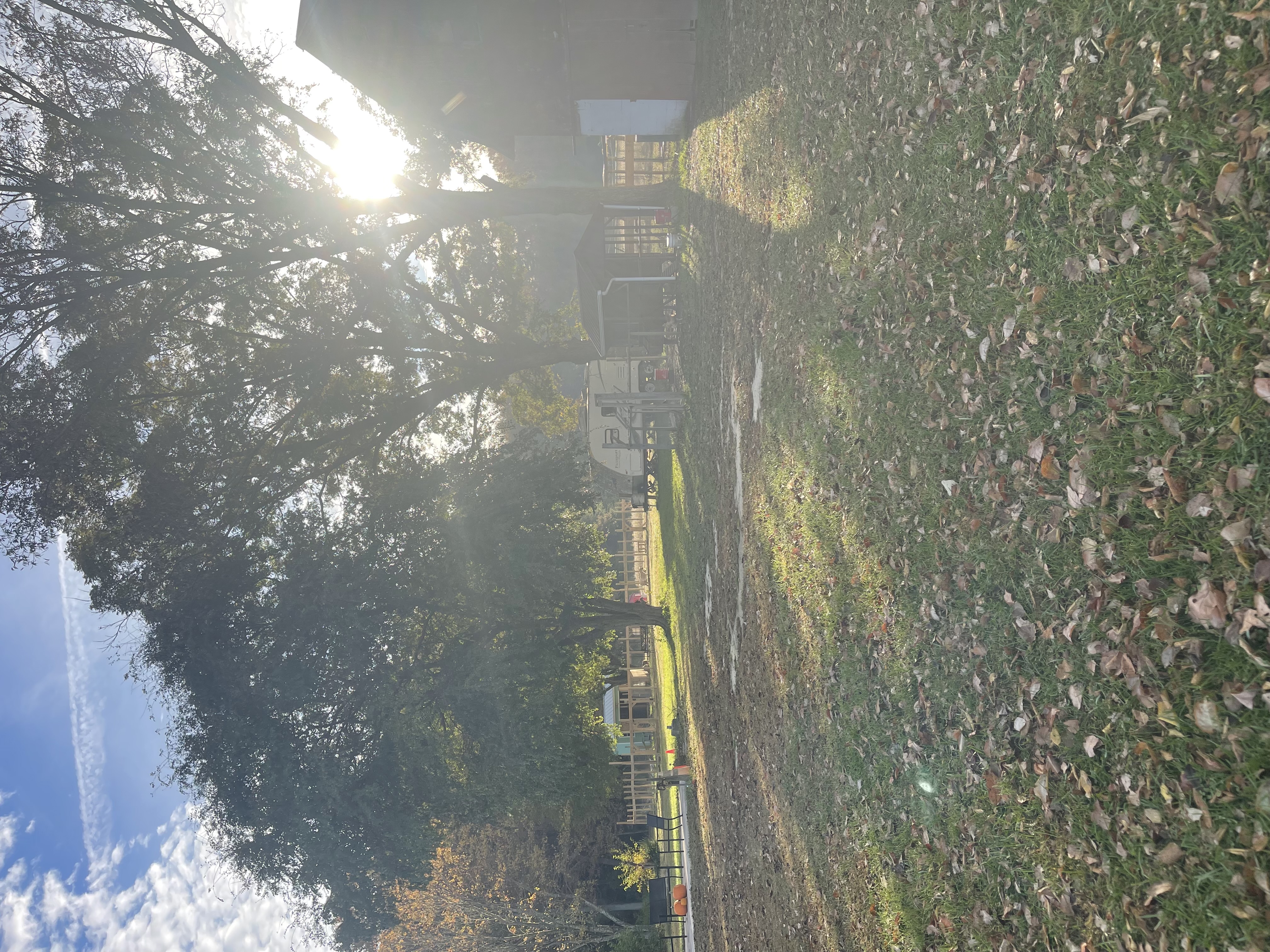 Golden hour on the farm